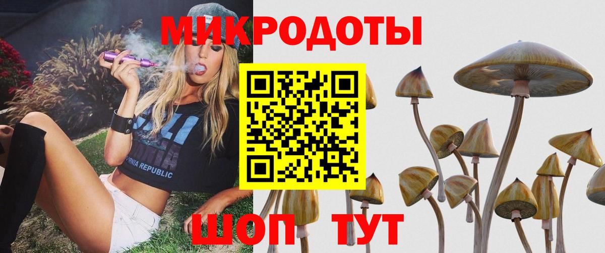 Галлюциногенные грибы прущие грибы Мариинск